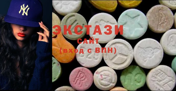 индика Краснослободск