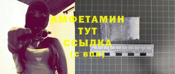 индика Краснослободск