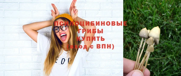 гашик Краснотурьинск