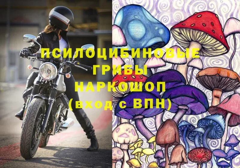 Галлюциногенные грибы MAGIC MUSHROOMS  Кудрово 